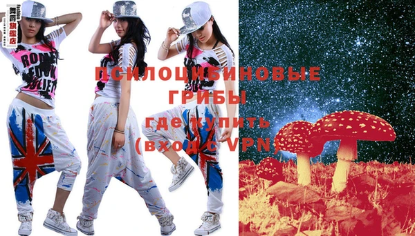круглые Алексеевка