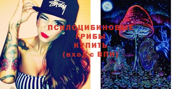 круглые Алексеевка