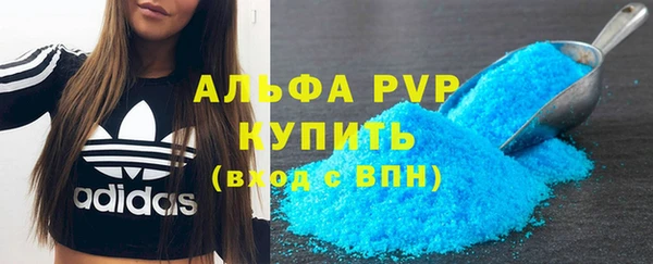 твердый Михайлов